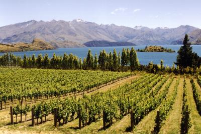 Index of the Highlights of 1998